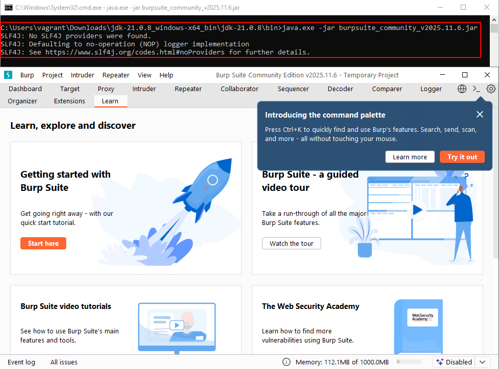 Application VAPT in Hardened Systems – Without Installing Tools image