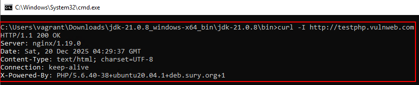 Application VAPT in Hardened Systems – Without Installing Tools image