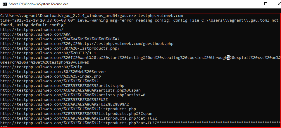 Application VAPT in Hardened Systems – Without Installing Tools image