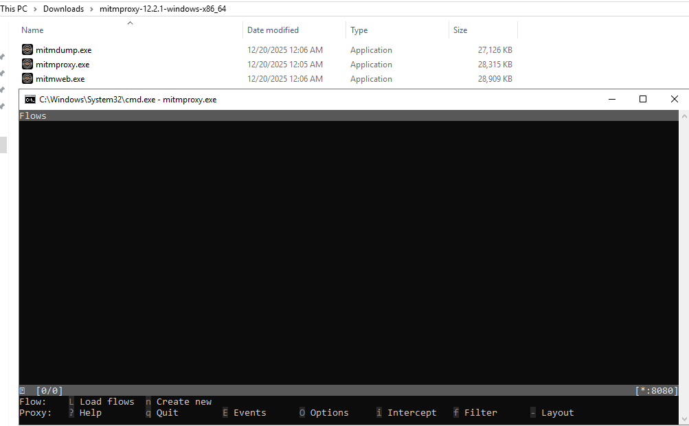Application VAPT in Hardened Systems – Without Installing Tools image