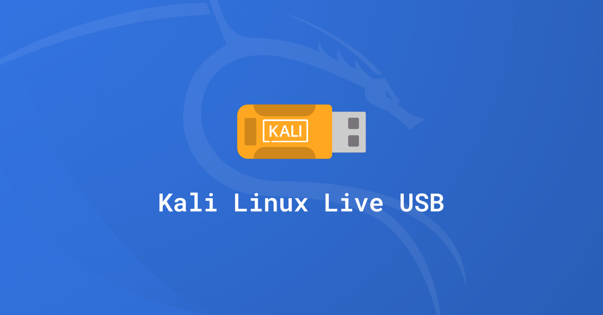 Creating a Bootable Kali Linux USB for Professional Pentesting - Cyber ...