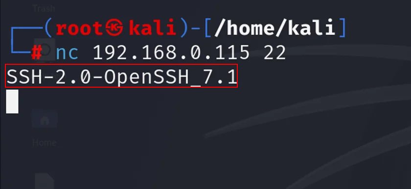 Stealth Network Recon: Differentiating Network Devices & Servers Using Native Command-Line Utilities image